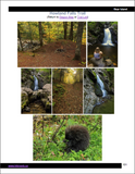 Hiking NB Guidebook (digital download) - Lower St. John River Valley - Meductic to Fredericton